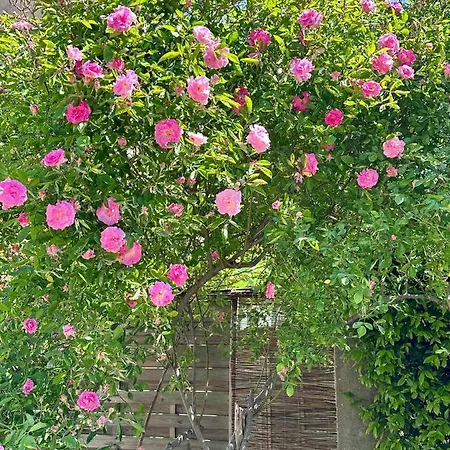 Apartament Clos De La Noria *