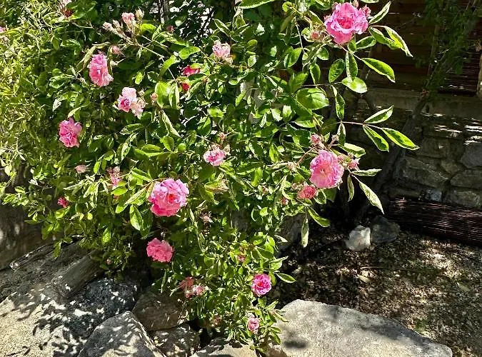 Clos De La Noria 아파트 퐁생테스프릿