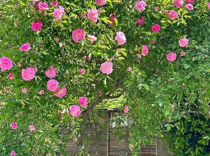 아파트 Clos De La Noria *